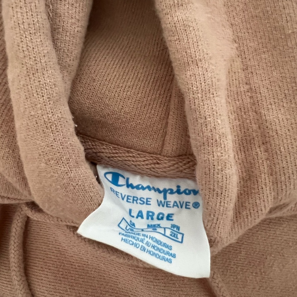 Champion Pink Hoodie